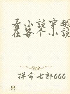 看小说穿越之我在各个小说当女主