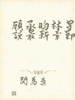 顾承昀林星禾小说最新章节免费阅读封面