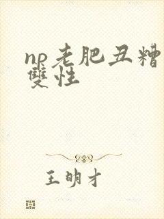 np老肥丑糟蹋双性