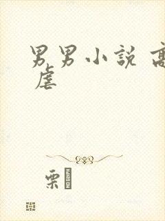 男男小说 高h 虐