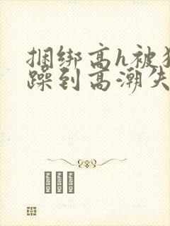 捆绑高h被狂c躁到高潮失禁小说封面
