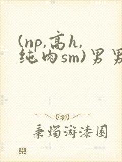 (np,高h,纯肉sm)男男
