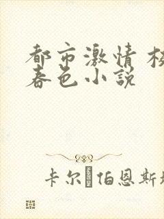 都市激情 校园春色小说