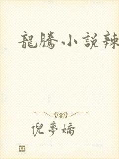 龙腾小说辣文