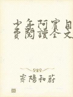 少年阿宾目录免费阅读全文无删减小说