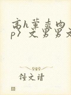高h荤爽肉〈np〉文男男文