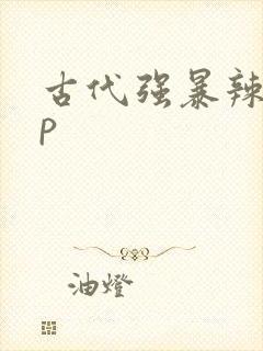 古代强暴辣文np