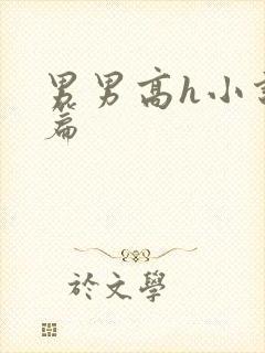 男男高h小说短篇