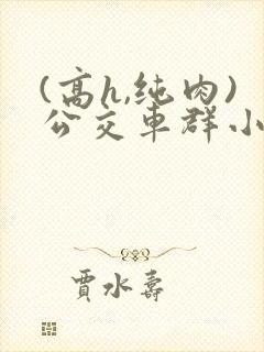 (高h,纯肉)公交车群小说