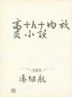 高+h+肉放荡爽小说