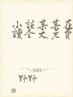 小说某某在线阅读全文免费