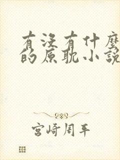 有没有什么好看的原耽小说封面