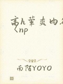 高h荤爽肉欲文〈np