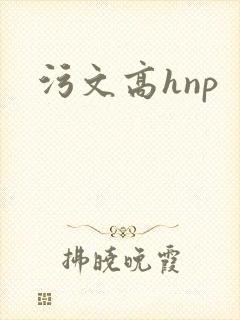 污文高hnp