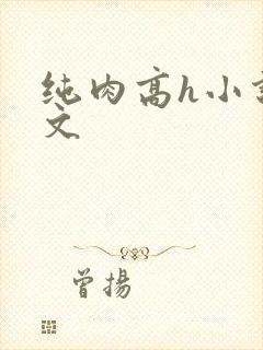 纯肉高h小说辣文封面
