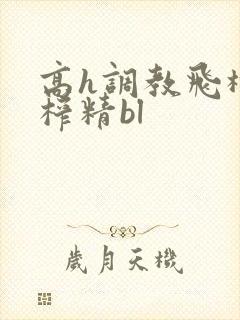 高h调教飞机杯榨精bl