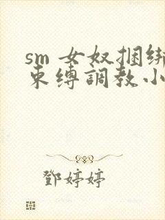 sm 女奴捆绑束缚调教小说