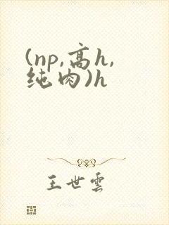 (np,高h,纯肉)h