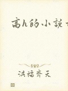 高h的小说古言封面