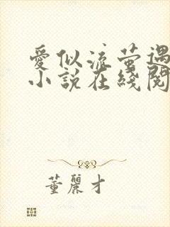 爱似流萤遇繁星小说在线阅读封面