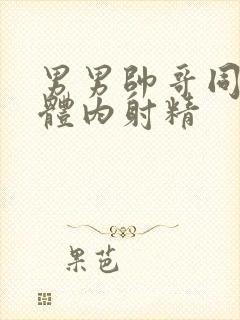 男男帅哥同性恋体内射精