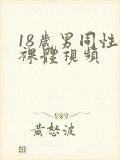 18岁男同性恋裸体视频