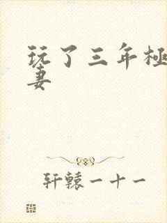 玩了三年极品人妻