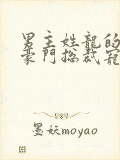 男主姓龙的小说豪门总裁宠文