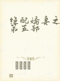 绝配娇妻之小秋第五部