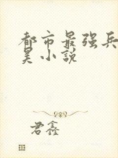 都市最强兵王叶昊小说