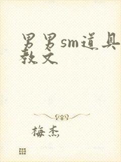 男男sm道具调教文