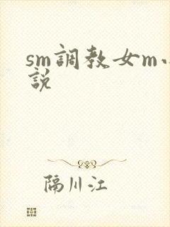 sm调教女m小说