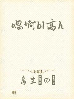 嗯啊bl高h