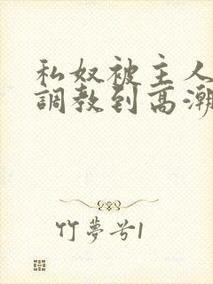 私奴被主人玩弄调教到高潮小说封面