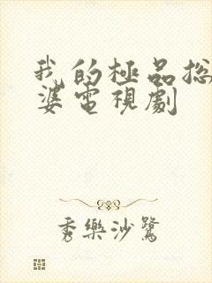 我的极品总裁老婆电视剧