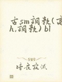 古sm调教(高h,调教) bl