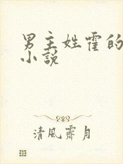 男主姓霍的全部小说