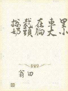 总裁在车里含我奶头胸大小说封面