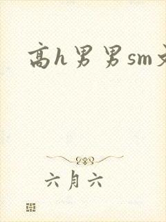 高h男男sm文