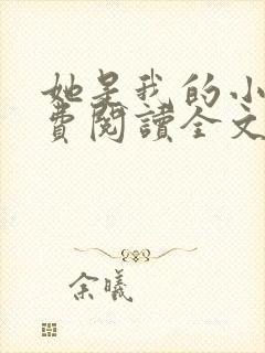 她是我的小说免费阅读全文