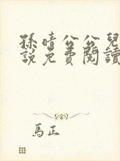 孙晴公公儿媳小说免费阅读封面