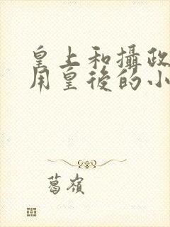 皇上和摄政王共用皇后的小说