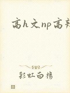 高h文np高辣