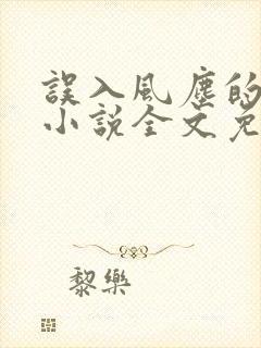 误入风尘的爱情小说全文免费阅读