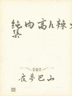 纯肉高h辣文合集