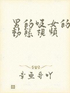 男的吸女的奶头动态视频