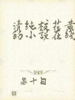 清纯校花黄小婷的小说在线阅读