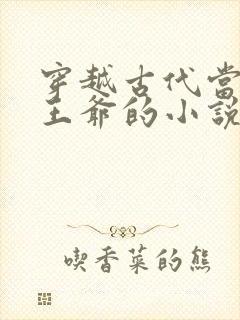 穿越古代当闲散王爷的小说