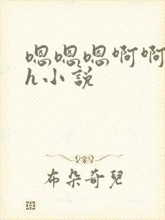 嗯嗯嗯啊啊啊高h小说