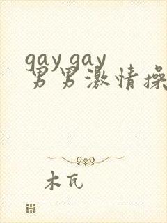 gay gay男男激情操操封面